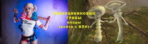 твердый Бородино