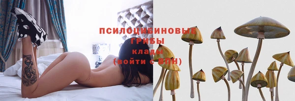 твердый Бородино