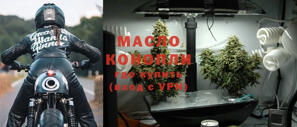твердый Бородино