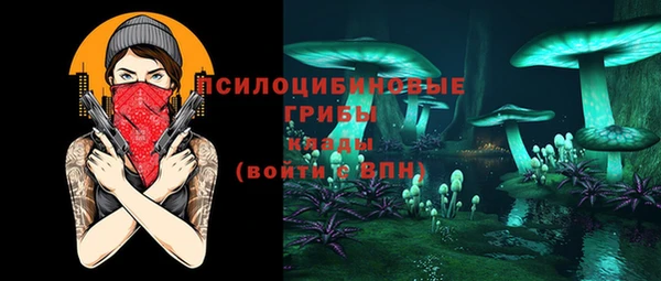 твердый Бородино