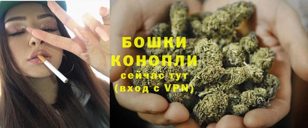 твердый Бородино