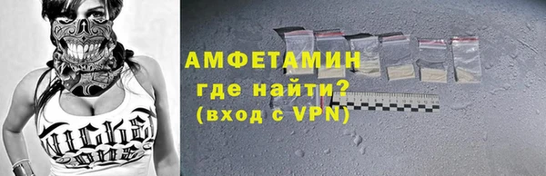 твердый Бородино